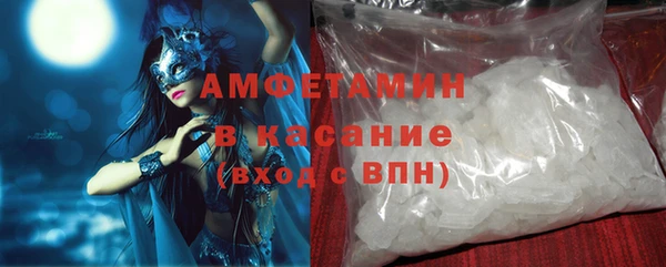 индика Горняк