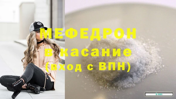 индика Горняк