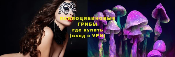 индика Горняк