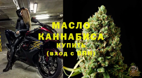 индика Горняк