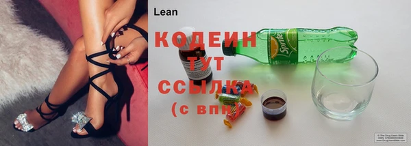 индика Горняк