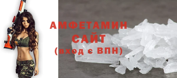 индика Горняк