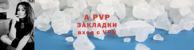 индика Горняк