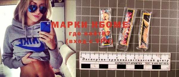 индика Горняк