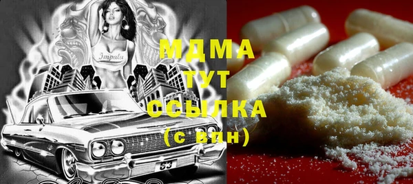 индика Горняк
