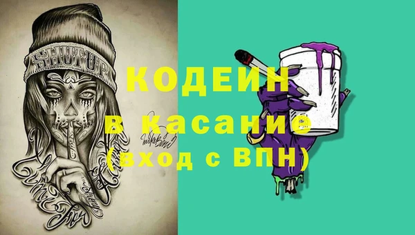 индика Горняк
