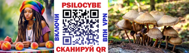 Галлюциногенные грибы GOLDEN TEACHER Рыльск